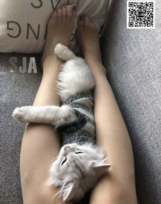 风吹半夏电视剧免费观看_1080动漫在线观看