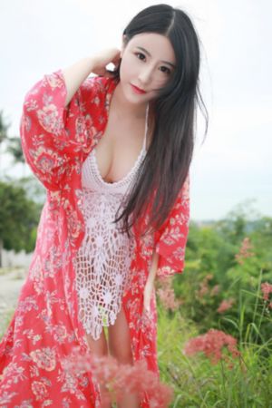 刘家大姐的日常生活剧_DVD高清完整版