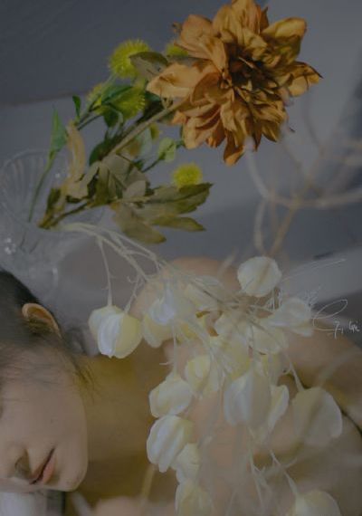 激战后厨1至5_免费手机在线看观看